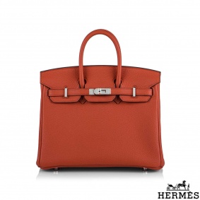 Herms Birkin 25cm Capucine Togo PHW